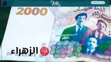 اليورو يتراجع بقوة في سكوار والبنوك الجزائرية مع تحولات مفاجئة